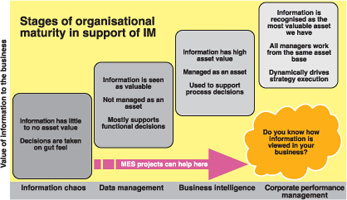 Figure 1. The value attached to information is a function of different levels of maturity in how information is managed